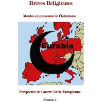 MONTEE EN PUISSANCE DE L’ISLAMISME ET PERSPECTIVE DE GUERRE CIVILE EUROPEENNE