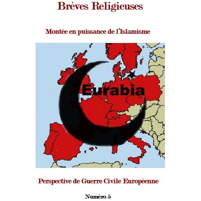 MONTEE EN PUISSANCE DE L’ISLAMISME ET PERSPECTIVE DE GUERRE CIVILE EUROPEENNE
