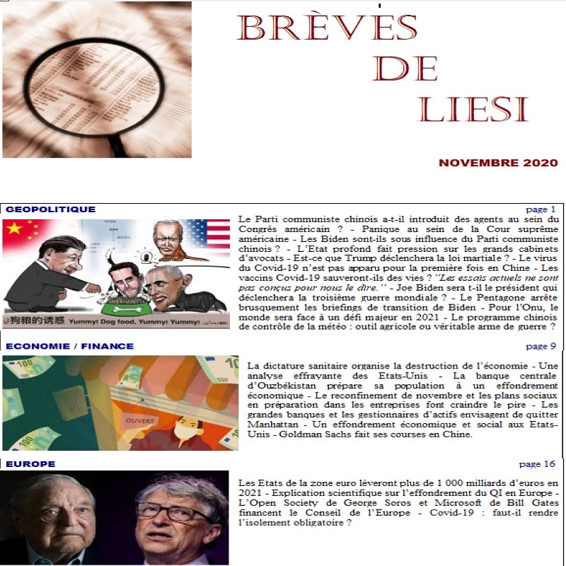 BREVES DE LIESI - NOVEMBRE 2020