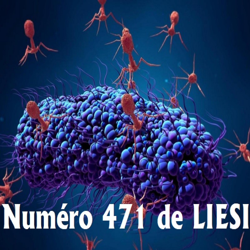 NUMERO 471 DU 31 MAI 2021