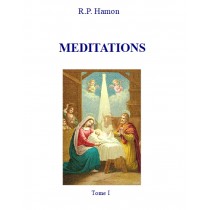 MEDITATIONS DU PERE HAMON, Tome 1