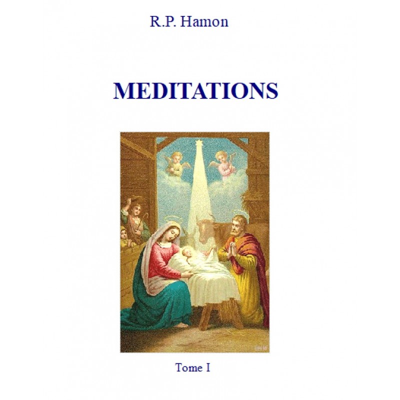 MEDITATIONS DU PERE HAMON, Tome 1