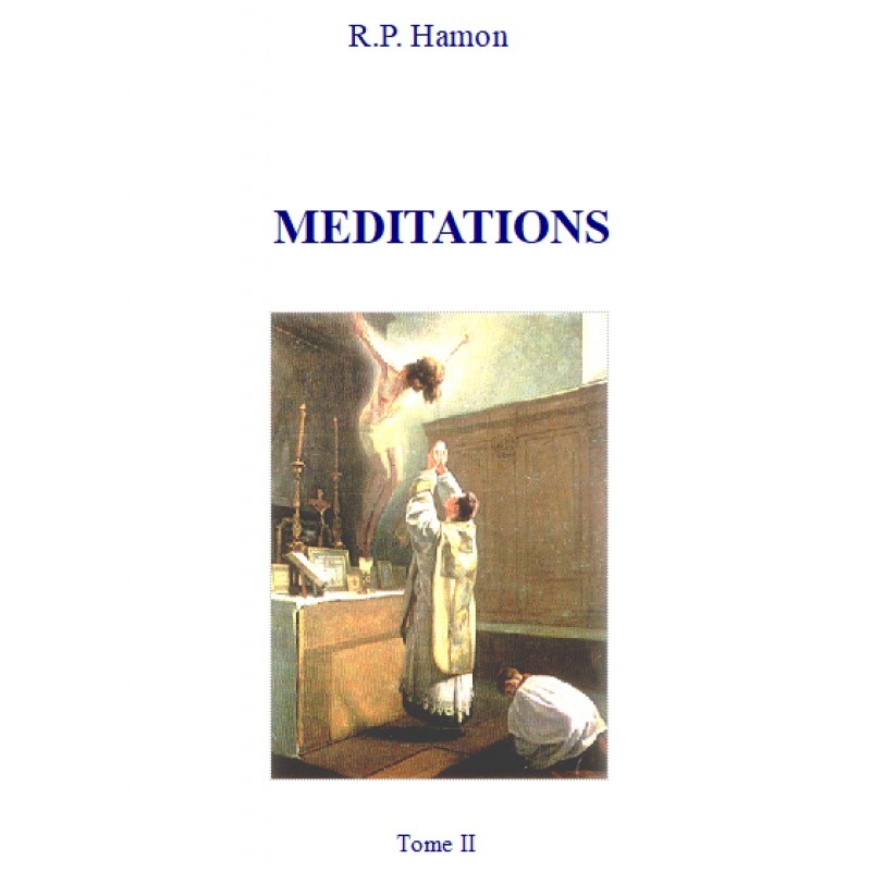 MEDITATIONS DU PERE HAMON, Tome 2