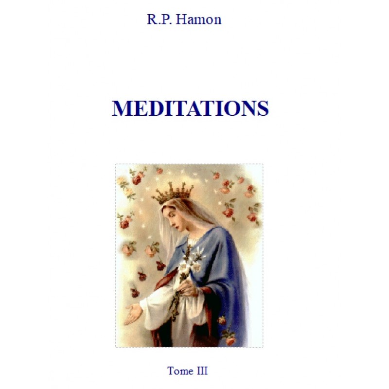 MEDITATIONS DU PERE HAMON, Tome 3