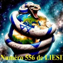 NUMERO 556 du 15 DECEMBRE 2024