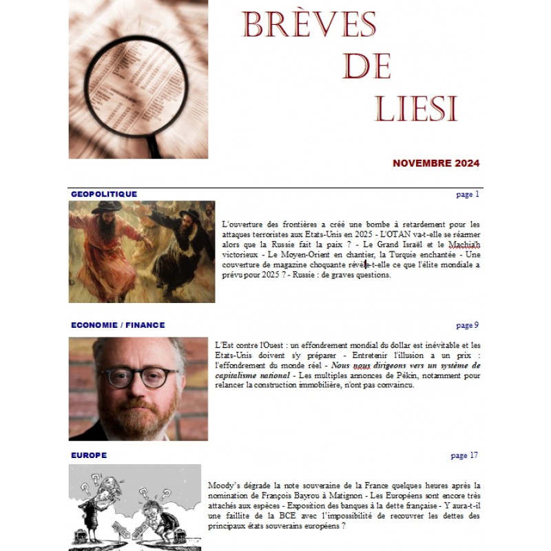 BREVES DE LIESI - NOVEMBRE 2024