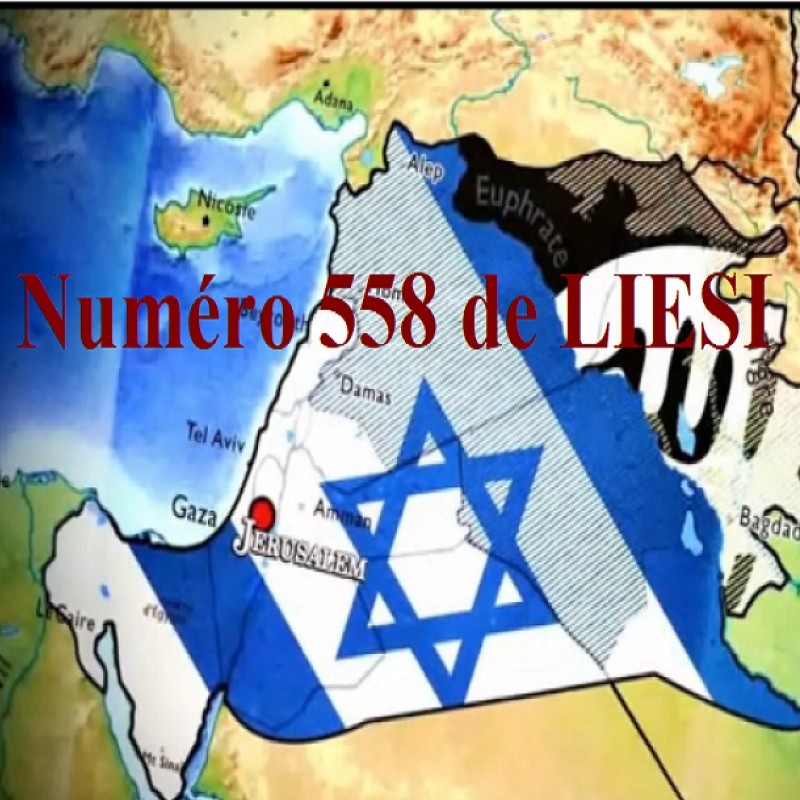 NUMERO 558 DU 15 JANVIER 2025