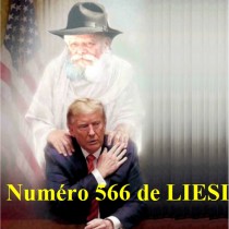 NUMERO 566 DU 15 MAI 2025